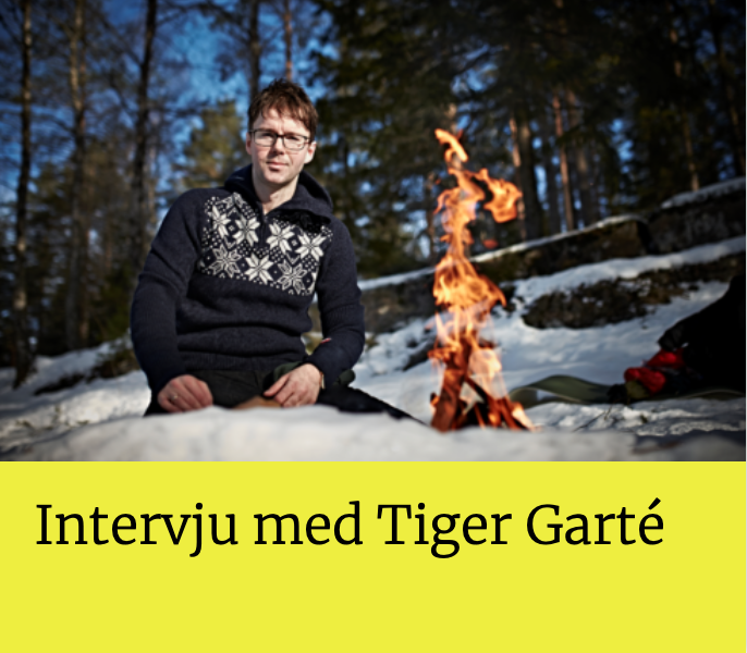Siste Nytt Tigergarte